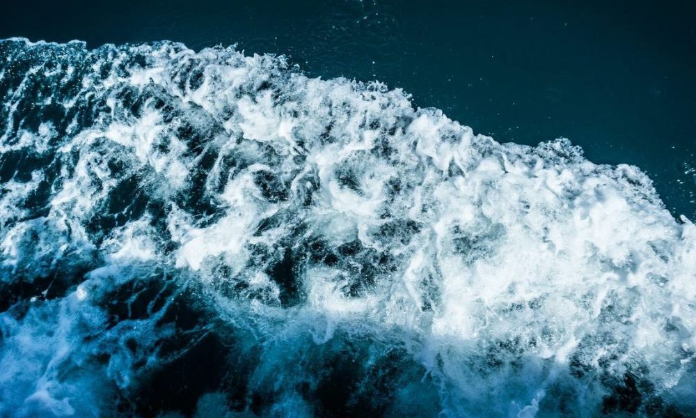 22 апреля состоится открытая встреча проекта «Морегоряморе»